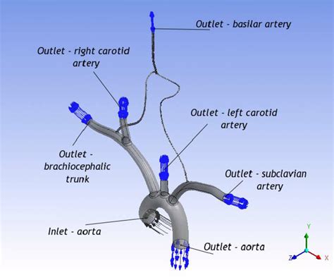 Channel with many branches; pulsing vessel .